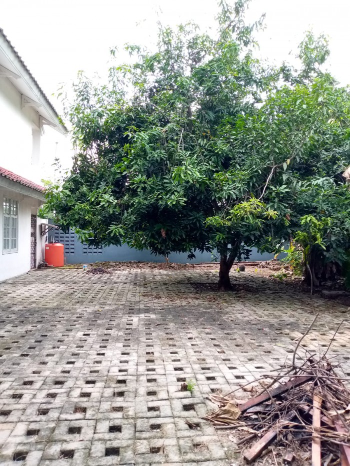 Rumah Disewakan di Taman Beverly Lippo Cikarang